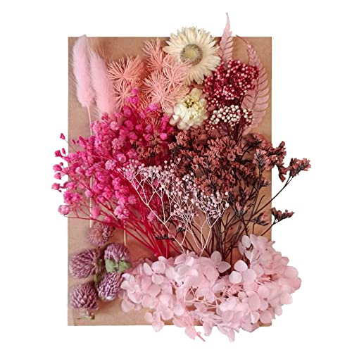 Fiori secchi Foglie di fiori secchi pressati misti Fiori artificiali decorativi naturali multipli Fiori secchi per artigianato Torte in resina Gioielli fai da te Nail Art Scrapbooks (Pink)