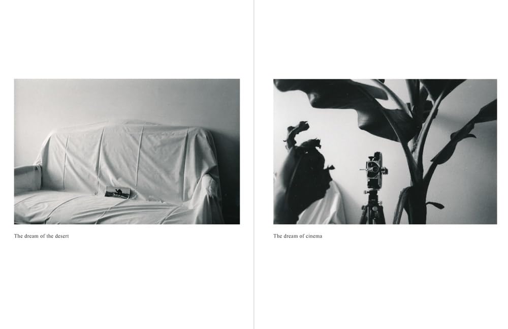 Herve Guibert: The Only Face