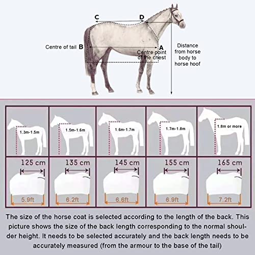 Couverture chevaux 1200D imperméable couverture hiver combo turnout medium weight