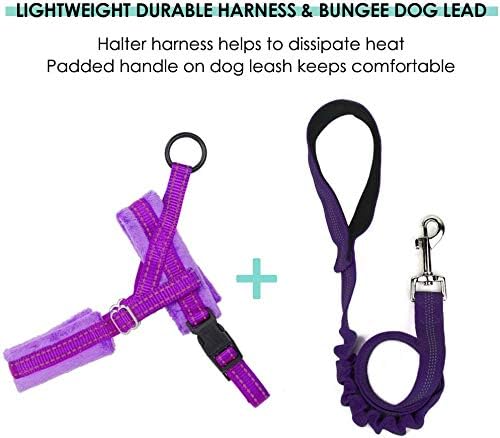 Eyein Dog Harness Small Dog, Anti Pull Heavy Duty Dog Harness and Lead Set - Image 4