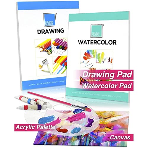 Colour Block 151Pcs Mixed Media Art Supplies, 4 In 1 Professional Kits I Acrylic Paint Sets I Watercolor Painting Sets I Colored Pencils Kit I Drawing Bundles In Aluminum Case #TOP2