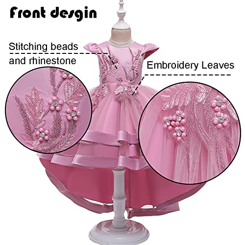 Girl Dress Embroidery Birthday Sleeveless Wedding Trail Puffy Tulle Layer Skirt Hem2