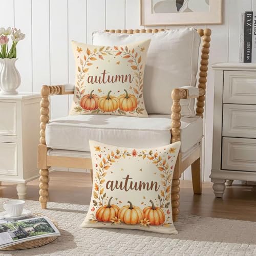 Housse coussin 75x75cm double face imperméable en velours épais lavable