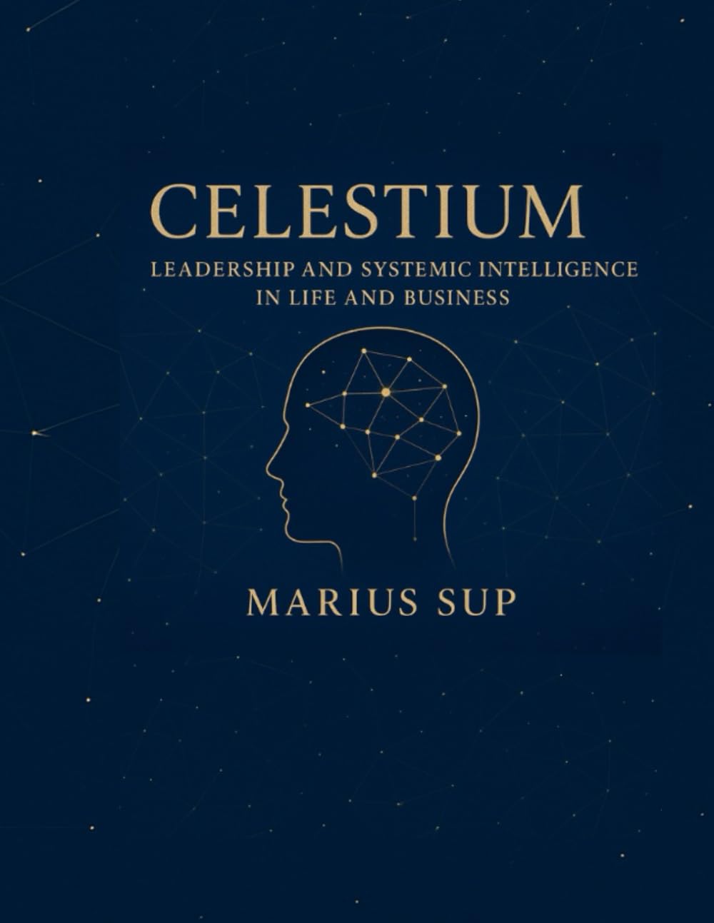 CELESTIUM: Costellazioni Organizzative é Pensiero Sistemico – Leadership: 9
