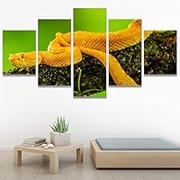 SIGNWIN 5 Panel Canvas Wall Art Modern Art Chic Expressive Frog Multicolor Photography Reptiles Snakes for Home Decorations Ready to Hang - 60