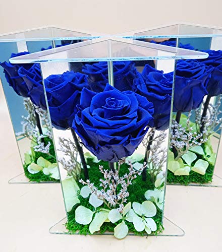 Rosa Azul eterna. Espejos con Rosa eterna Azul. Flores preservadas. Rosa eterna Azul. Hecho en España Cover