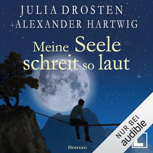 Page de couverture de Meine Seele schreit so laut
