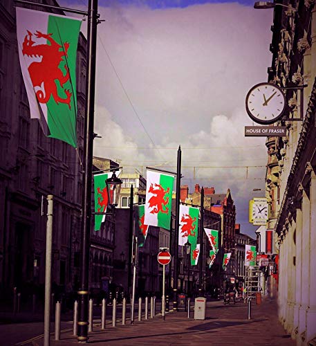 FLAGBURG Welsh Dragon Flag - 8ft x 5ft (150x240cm) Canvas with Eyelets for Indoors and Outdoors - Image 7