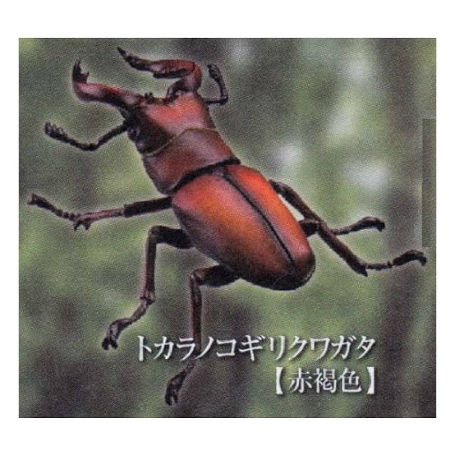 カプセルQミュージアム 日本クワガタムシ大全 (単品) khxv5rg カプセルQミュージアム 日本クワガタムシ大全