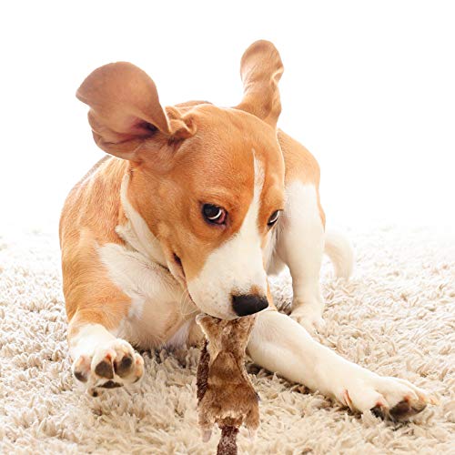 BESPORTBLE Cão Brinquedos Sibilantes 4Pcs Recheio Do Filhote de Cachorro de Pelúcia Brinquedo Para R