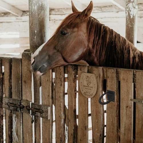 Anillos de corbata de caballo de hierro contra tirones para pared de picadero y boxes 7