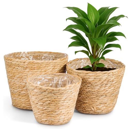 GREENSAPPIRE Pflanzkorb 3er Set 18/21/23 cm Geflochtener Übertopf aus Seegras mit Folieneinsatz Boho Blumentopf Natur Dekorativer Pflanzenkorb für Zimmerpflanzen