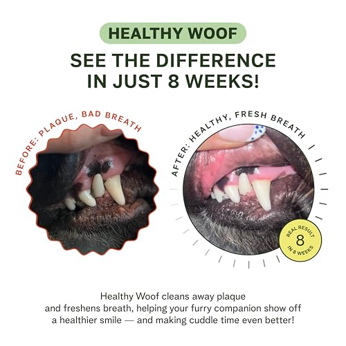 Image of Dental Powder for Dogs Teeth Cleaning. Complete Oral Care Bone Broth. Made in the USA. 2.1 oz, 30 Scoops