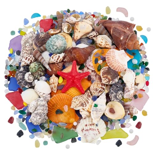 PH PandaHall 600g Misto Conchiglie Pezzi di Vetro di Mare Smerigliato Ciottoli di Vetro Colorato Pietre di Riempimento Vasi per Acquario Ghiaia Artigianato Fai Da Te Decorazioni per La Casa