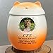 Custom Cat Urn,Pet Urn,Pet Urns for Cats,Pet Cremation Urn,Cat Urns for Ashes,Urns for Cats,Pet Urns for Cats Ashes,Ceramic Urn,Handmade Custom Personalized|Orange Cat