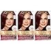 L'Oréal Paris Excellence Créme Permanent Hair Color, 4M Dark Mahogany Red