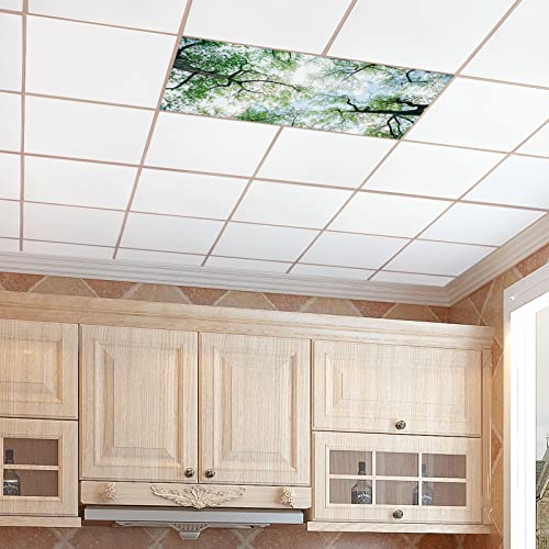 Image of Fluorescent Light Covers for Classroom Ceiling Lights - 2x4ft Backlit Film for Fluorescent Fixtures, Easy to Install - School, Office, Sensory, Improve Focus, Eliminate Headaches -Tree