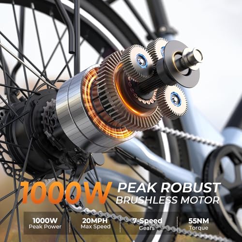 Loeook Step-Thru EBike