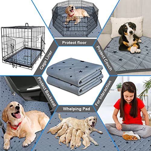 Image of RIOUSSI Washable Pee Pads for Dogs, Reusable, Absorbent, Leakproof, Non Slip Pet Puppy Pads for Potty Training. Gray Stars, 24x36 Inch(2pack)