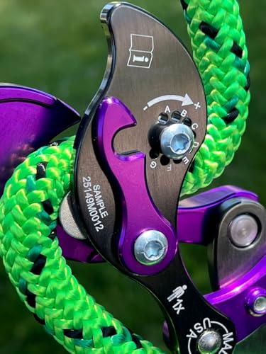 Rock Exotica RG81 Akimbo²