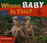 Whose Baby Is This? (Whose.? Animal)