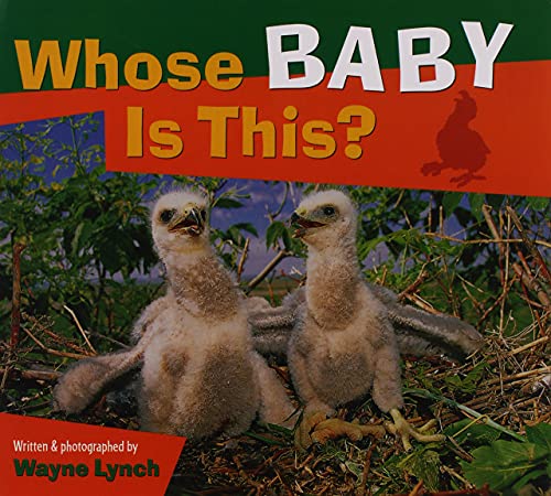 Whose Baby Is This? (Whose? Animal Series)