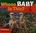 Whose Baby Is This? (Whose.? Animal)