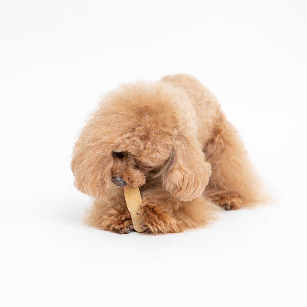 Amazon.co.jp: ペットプロ 犬用おやつ HappyDays 大地からの