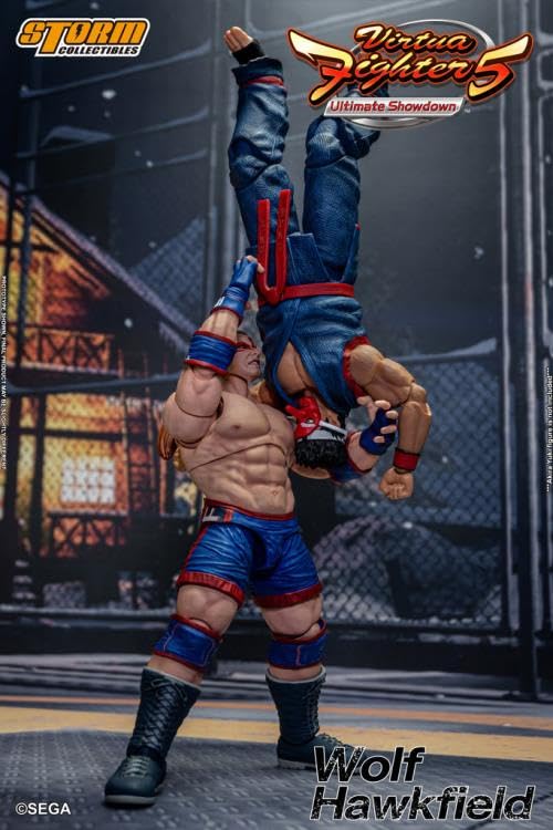 Amazon.com: Testbrands Storm Collectibles Virtua Fighter 5 Wolf