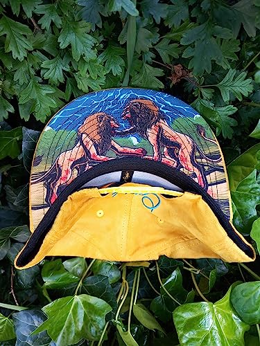 Image of Capiche [99+ Variations] Special Series Snapback Cap - One Size Unisex Men