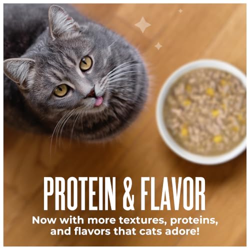 Tiki Cat Friends Wet Cat Food, Chicken Variety Pack, 2.5 oz. Can, 12 Count - image 6