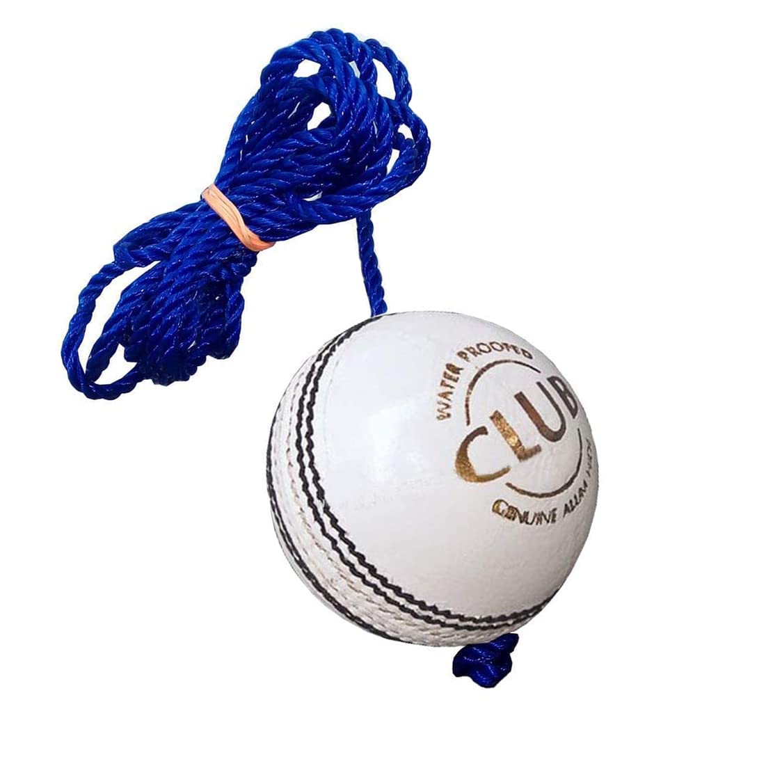 REINDEER Training Cricket White Leather Hanging Ball Heavy Practice-Ball for Senior Players | Pack of 1 (150Gm-170Gm Each)-image-40