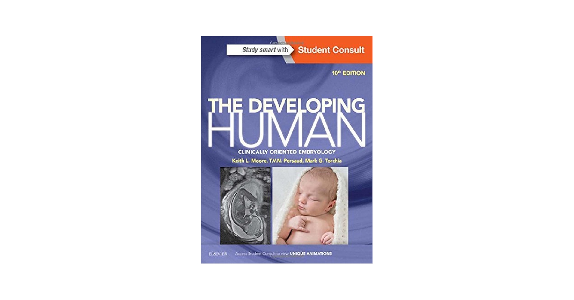 語学+参考書 The Developing Human: Clinically Oriented Embryology 71pifAduKdL._UF350,350_QL50_.jpg