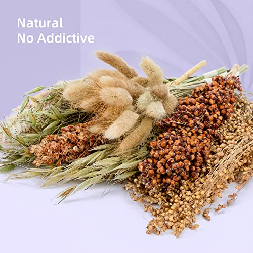 Image of Niteangel Natural & Soft Hamster Bedding Mate Small Animal Habitat Decor for Syrian Dwarf Hamsters Gerbils Mice Degus Bunny or Other Small-Sized Pet