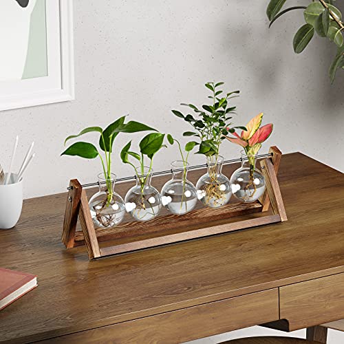 Cfmour Plant Terrarium With Wooden Stand, Desktop Propagation Stations Glass Air Planter Metal Swivel Holder For Indoor Live Hydroponics Plants Office Home Garden Decor (5 Bulb Vase) #TOP6