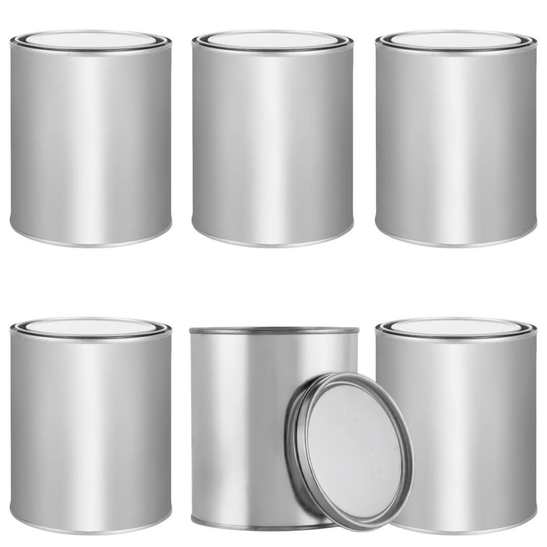 MEETOZ 6 latas de pintura vacías de 1 litro con tapas, latas de pintura vacías sin forro con tapas, para artes y manualidades, proyectos de bricolaje, pintura, artes y manualidades