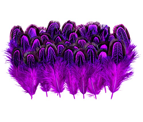 Piokio 50 pcs Natural Purple Pheasant Feathers in Bulk 2-3inch(5-7 cm) for Dream Catcher Crafts Decoration