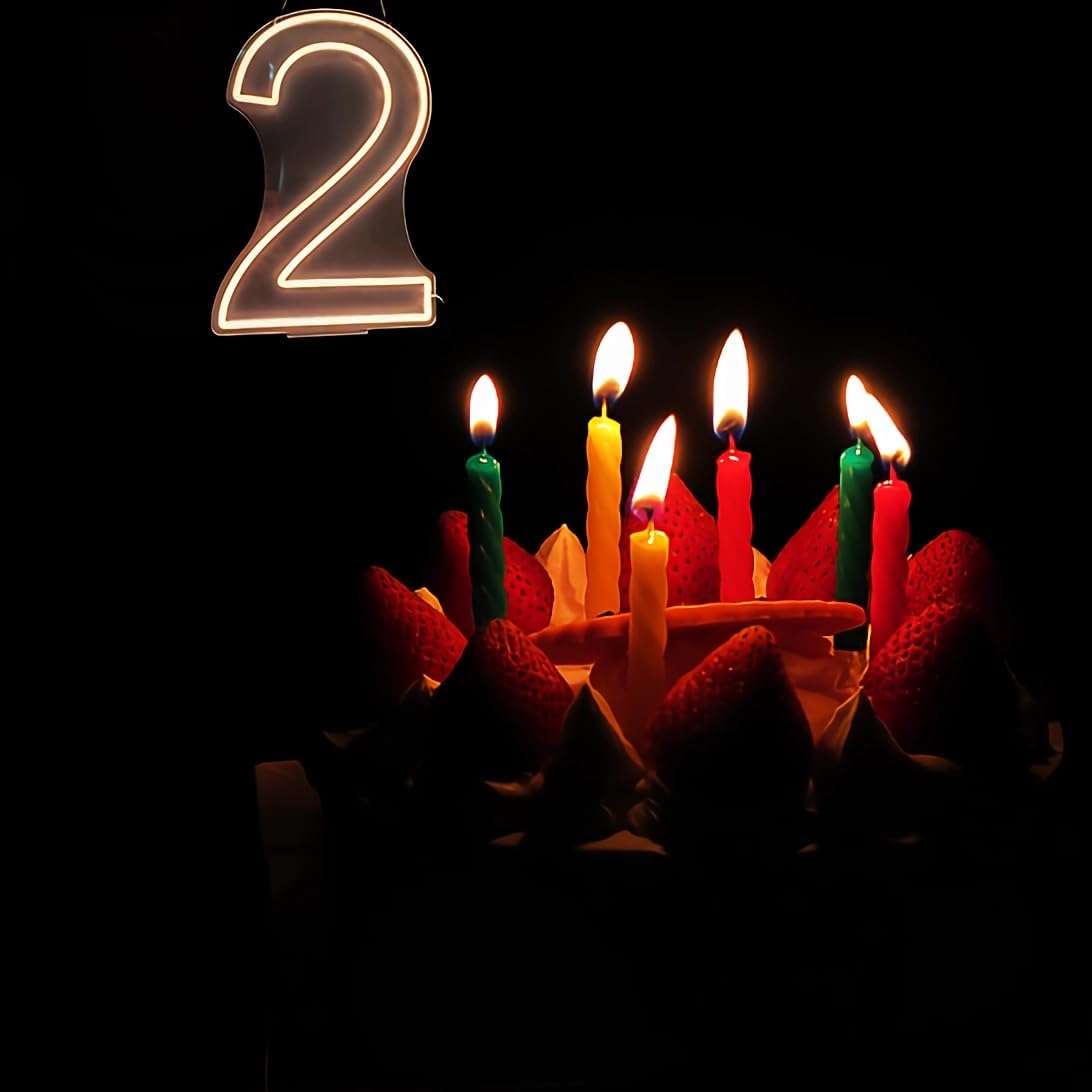 Neon Signs Number 2 Birthdays Decor Neon Lights Party USB Plus Battery Case Light up Your Baby's Birthday with Our Neon Number Two Sign (Number 2-Warm White)