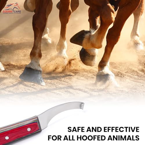 Image of Equine Care Farrier Hoof Knife, Left-Handed, Brass Cap for Horse Shoeing | Left-handed farrier hoof knife with J2 stainless steel blade, notched brass shoe topper, layered handle and flat thumb rest