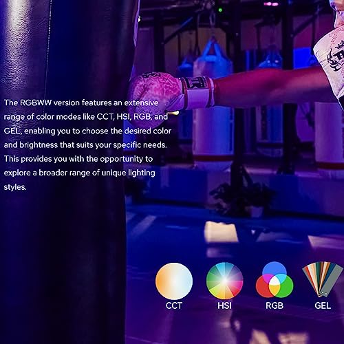 Ficha técnica Godox LDX100R RGB LED Video Light 2500K-10000K Max 118W LED con soporte en U Panel de luz profesional para estudio YouTube Outdoor Video Lighting Kit CRI≥96 TLCI≥96 Built-in 14 FX Type 2.4G Wireless - Fernando Cortés
