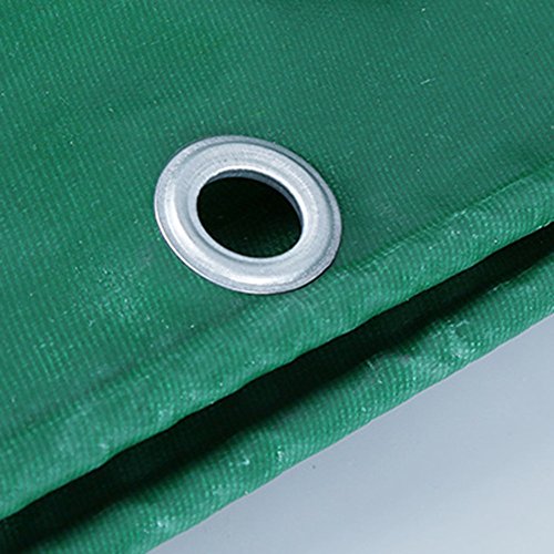 WUFENG Telone Addensare Fibra di Vetro Prevenzione...