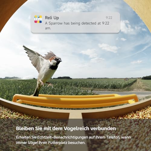 Birddy® Original Smart Vogelfutterstation mit Kamera, solarbetrieben, langlebiges Material, GreenTough Feeder mit Vogelbeobachtungskamera, KI-Identifizierung, Live-Ansicht, sofortige – Bild 6