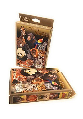 Exotic Wildlife Photographic Playing Cards