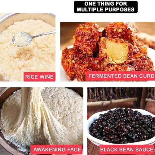 Antipasto pieghevole con riscaldatore, scatola per la lievitazione del pane per una perfetta preparazione di pizza, pane e yogurt