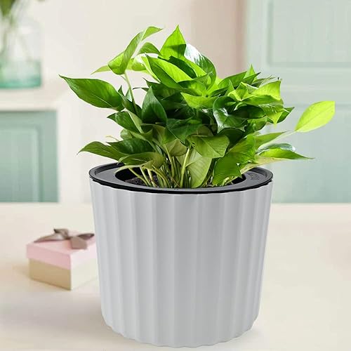 Miniatura 5 de MUZHI Maceta de orquídea con malla ranurada y agujeros, maceta redonda de plástico con riego automático para plantas de interior, flores, hierbas, 3