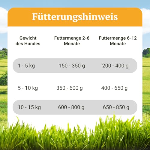 Bellfor Landgut-Menü Junior Hypoallergenes Hundefutter Nass mit Insekten für Welpen 6 x 400 g - auf Basis der Schwarzen Soldatenfliegenlarve Getreidefrei Ohne Soja