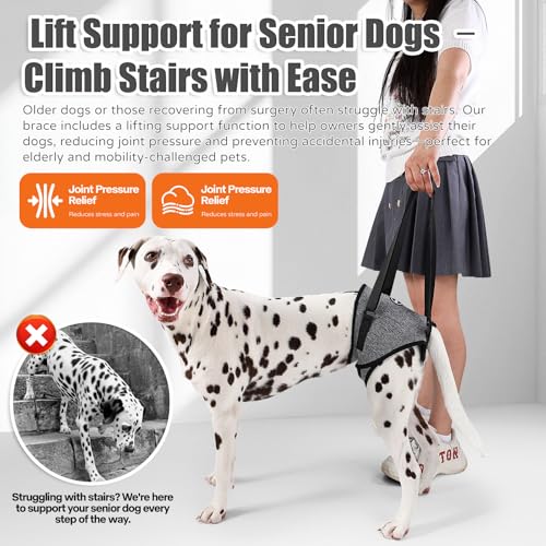 Image of Dog Sling for Medium Large Dog Rear Leg, Lift Harness Provide Support with Muscle Atrophy and Joint Problems for Elderly Injured Arthritic Pet, Dog Weak Rear Legs Provides Rehabilitation Aid