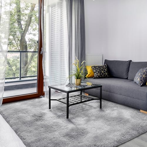 SOANNY Living Room Area Rug, Light Grey Small Soft Fluffy Tie-Dyed Shag Carpet, Non-Slip Washable Rug for Bedroom Dorm