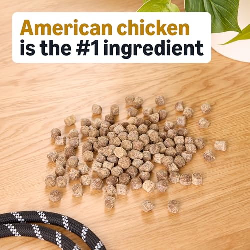 Image of Amazon Basics Chicken Flavor Hip & Joint Training Treats for Dogs, 1 lb. Bag (16 oz) (Previously Wag)