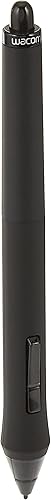Wacom INTUOS4CINTIQ21 Grip Pen negro individual